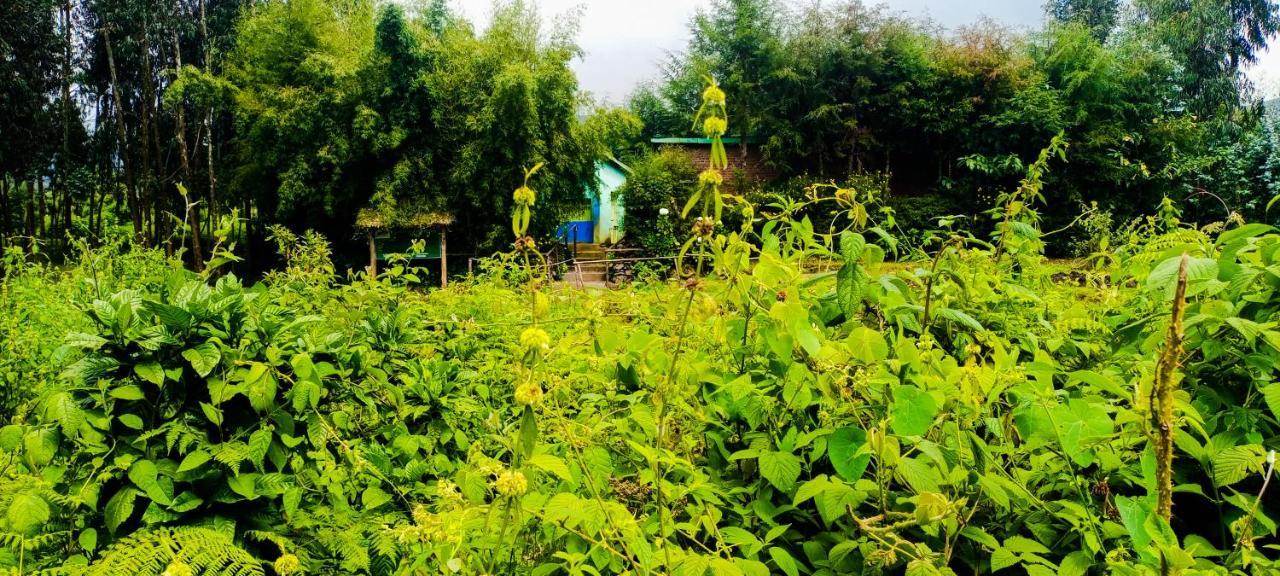 Under Volcanoes View Guest House Nyarugina المظهر الخارجي الصورة