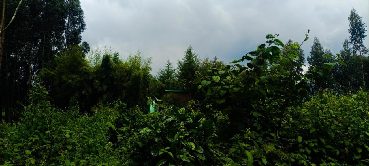 Under Volcanoes View Guest House Nyarugina المظهر الخارجي الصورة